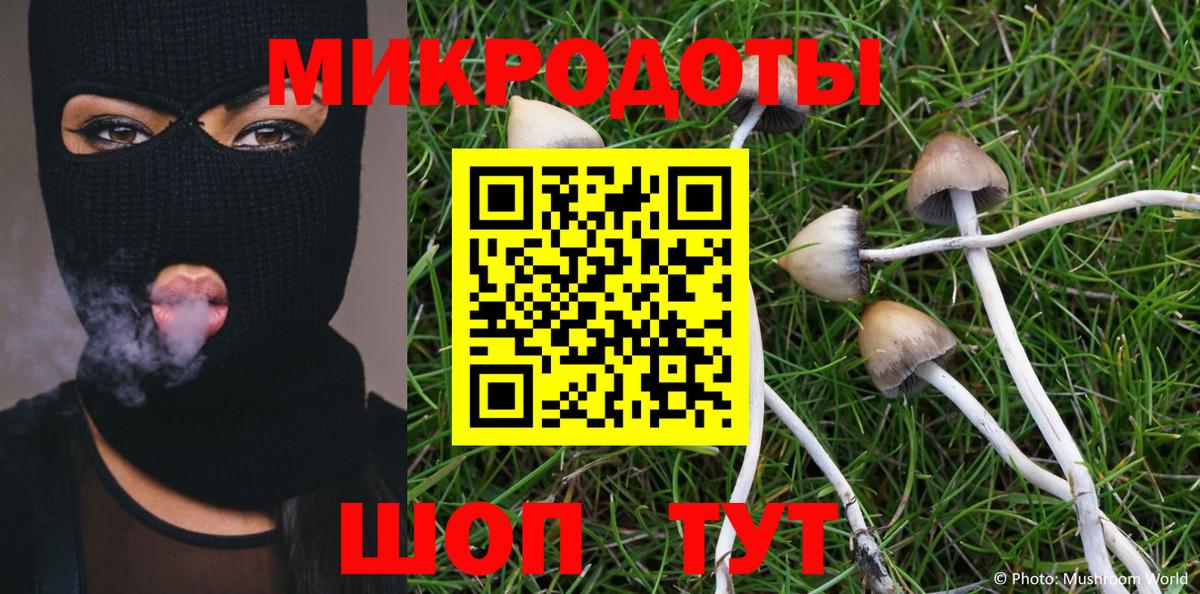 Междуреченск  Псилоцибиновые грибы MAGIC MUSHROOMS  даркнет сайт  Вход с VPN 